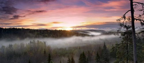 十二星座中桃花运最好的星座