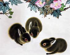 夏日炎炎，财运亨通——揭秘2023年夏季发家致富的生肖