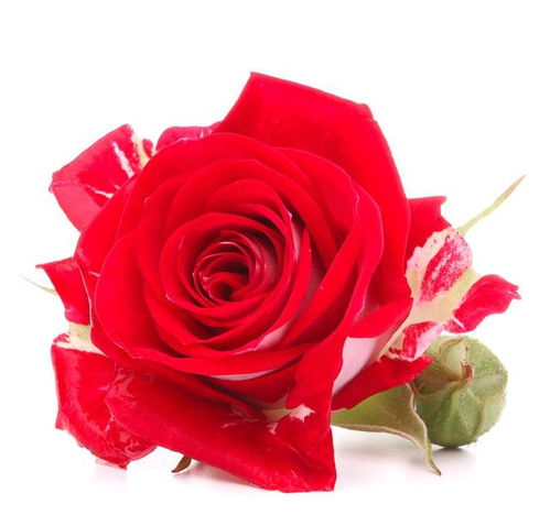 改善姻缘运气小方法让你的爱情之路更顺畅