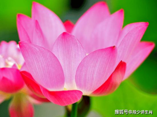 月上旬吉星高照属相喜事临门,桃花旺盛,事业爱情双丰收