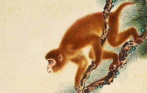 生肖月号财富见面指南