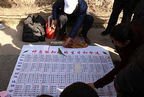 属相年月日时辰命运