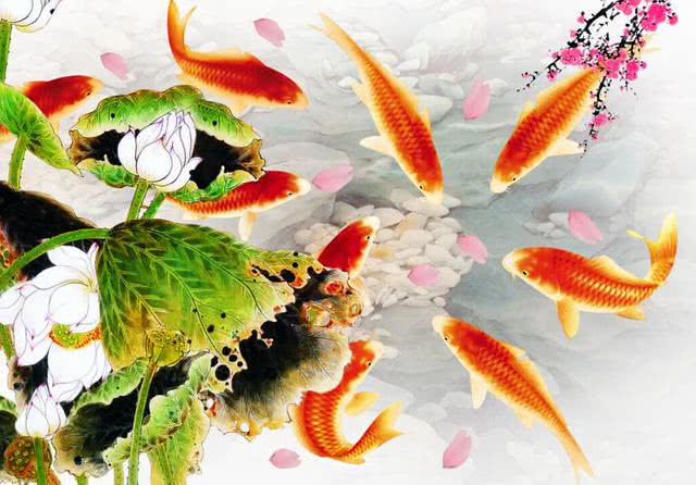 表里不一的兔子