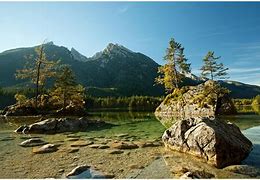 外表单纯城府极深