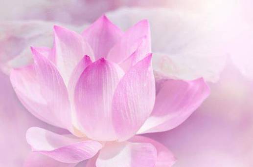 2023年下半年属相事业风生水起，横财大旺，前程似锦