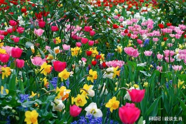 【下半年财运看涨】这几个生肖赚钱别忘顾健康!