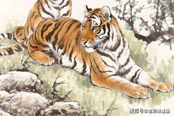 【明日启程,幸运生肖迎来财源滚滚】