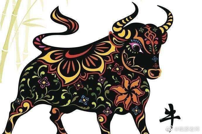 历史学视角下的生肖风水运势分析