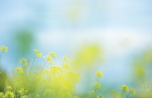 【下旬横财滚滚来,三大生肖好运连连】