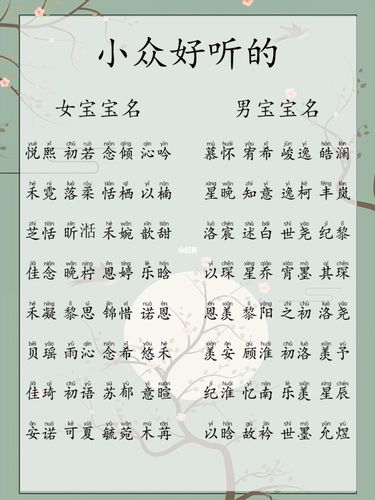 宝宝名字打分起名的文化背景与规则解析