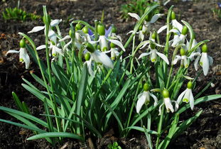 姐妹俩的惊魂一日