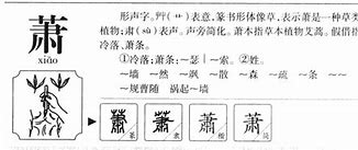 萧凯起名文化的传承者