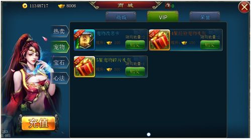 飞车宠物名字起名的文化探析