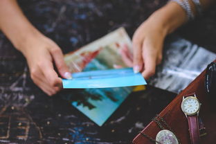 法国爱中国实锤了