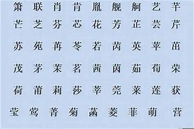 网络名起名的文化创意无限的数字身份设计