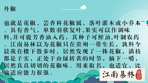 幼儿起名字探索起名的文化意义与逻辑