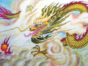 **龙年生肖与起名文化探寻属龙者的年龄与命名传统**
课程