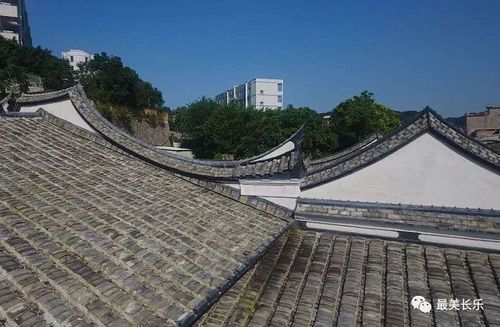 陈韵舟名字什么含义?