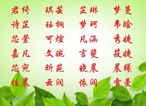 宝淇传承与创新的名字艺术