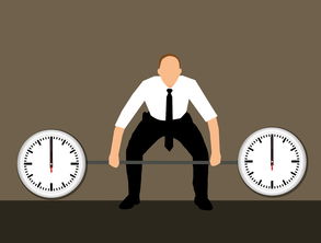 不离不弃——网络昵称的艺术与内涵