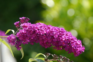 肖申克的救赎,灵魂的历练与名字的力量——以经典台词为线索的国学解读