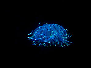 2020年的生肖轮回与命运预示