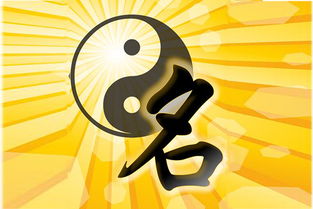 数字起名的公司