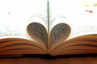 上海售楼处人山人海,有人当场签约 上海售楼处人山人海,有人当场签约