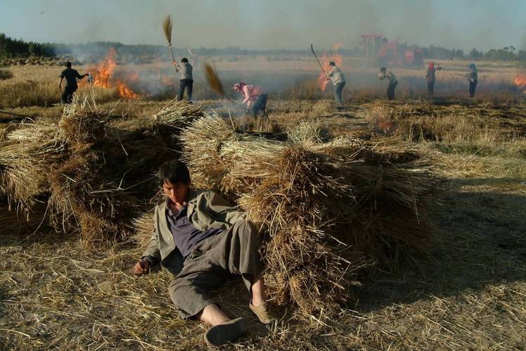 为心灵赋名，浩业起名的文化之美
