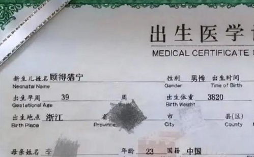 好的名字网名文艺