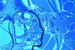 华亭宾馆疫情,防控措施与社区响应的双重奏