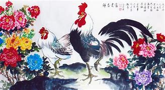 白君是什么意思