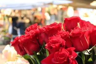 探析利是之深意，中国传统习俗中的红色馈赠与文化寓意