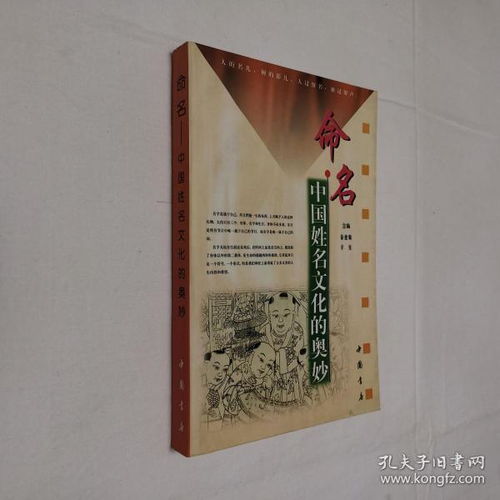 鲁姓女孩起名文雅的名字