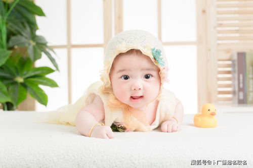 属牛男孩最好听的名字