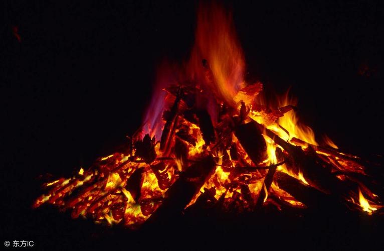 茁的注音是什么