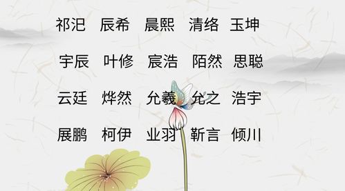 刘伯兴名字的含义