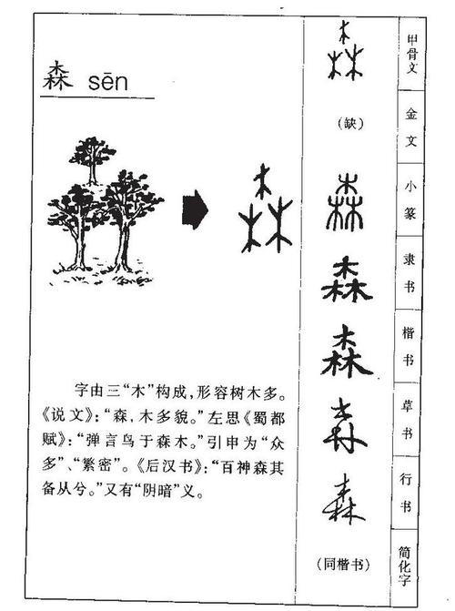 焱森这个名字怎么样