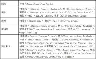 女生英文名字取什么好