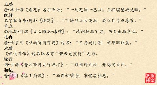 文化网名大全男