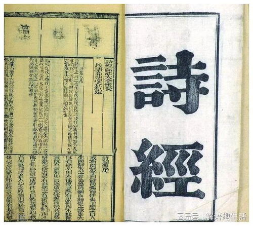 当名字成为命运的钥匙