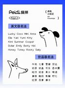 狗狗起名字好听独特