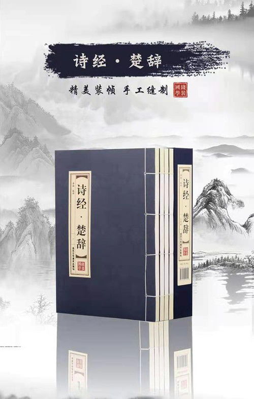 尹氏文字辈起名