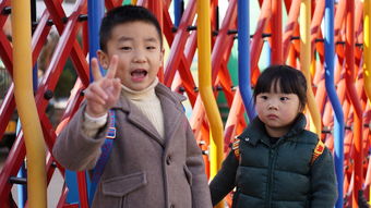 班级群风波,班主任大骂学生,校方如何回应? 班级群风波,班主任大骂学生,校方如何回应?