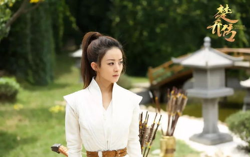 胡静的电视剧作品