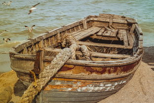 月球建房，榫卯工艺的太空应用