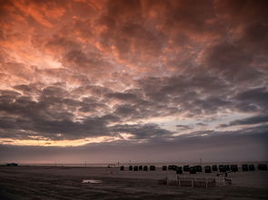 凌云梦羽，飞翔在国学的天空