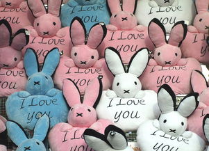 8年后,日本归还16只朱鹮给中国 8年后,日本归还16只朱鹮给中国