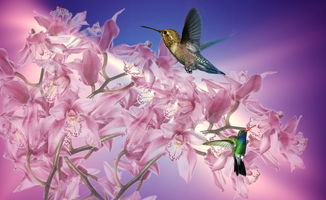 墨韵天气,古风与科技交织的智慧预报之名 墨韵天气,古风与科技交织的智慧预报之名