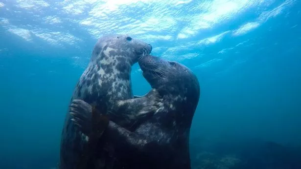 广西紧急行动，寻找超5000名同行乘客的紧迫性与重要性